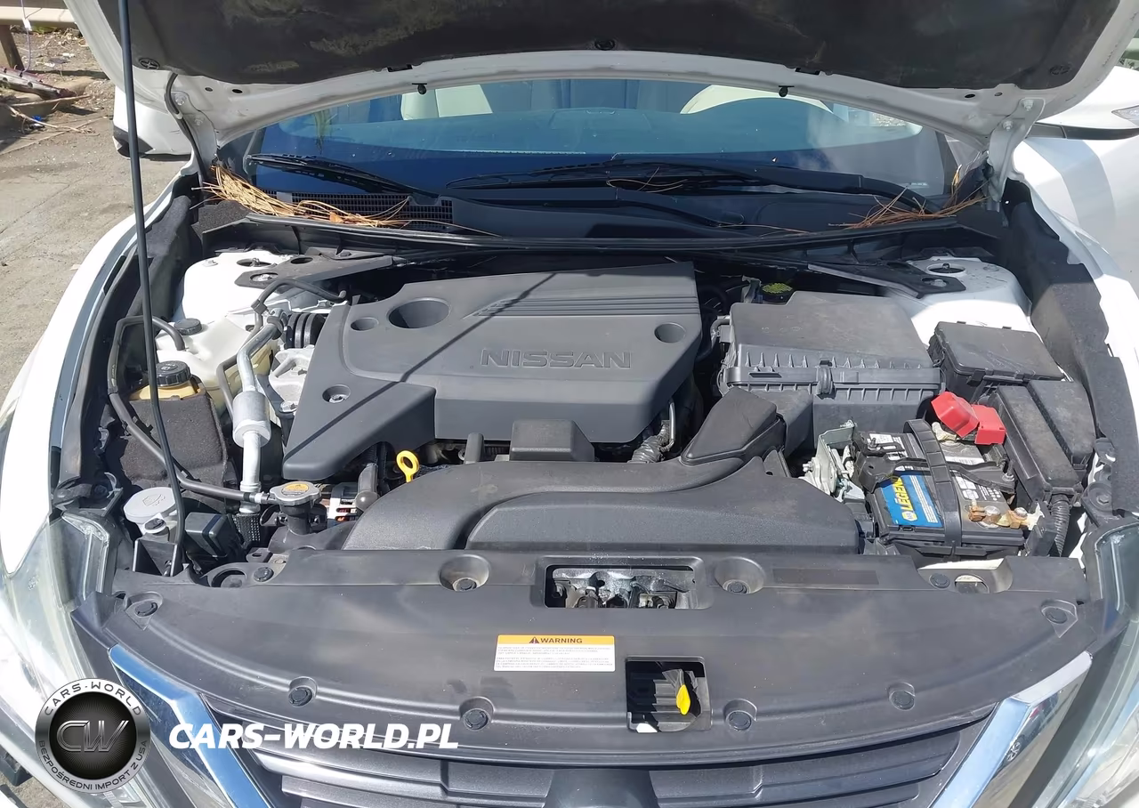 2016 Nissan Altima 2.5 Sl VIN:1N4AL3AP0GC110571 - 10