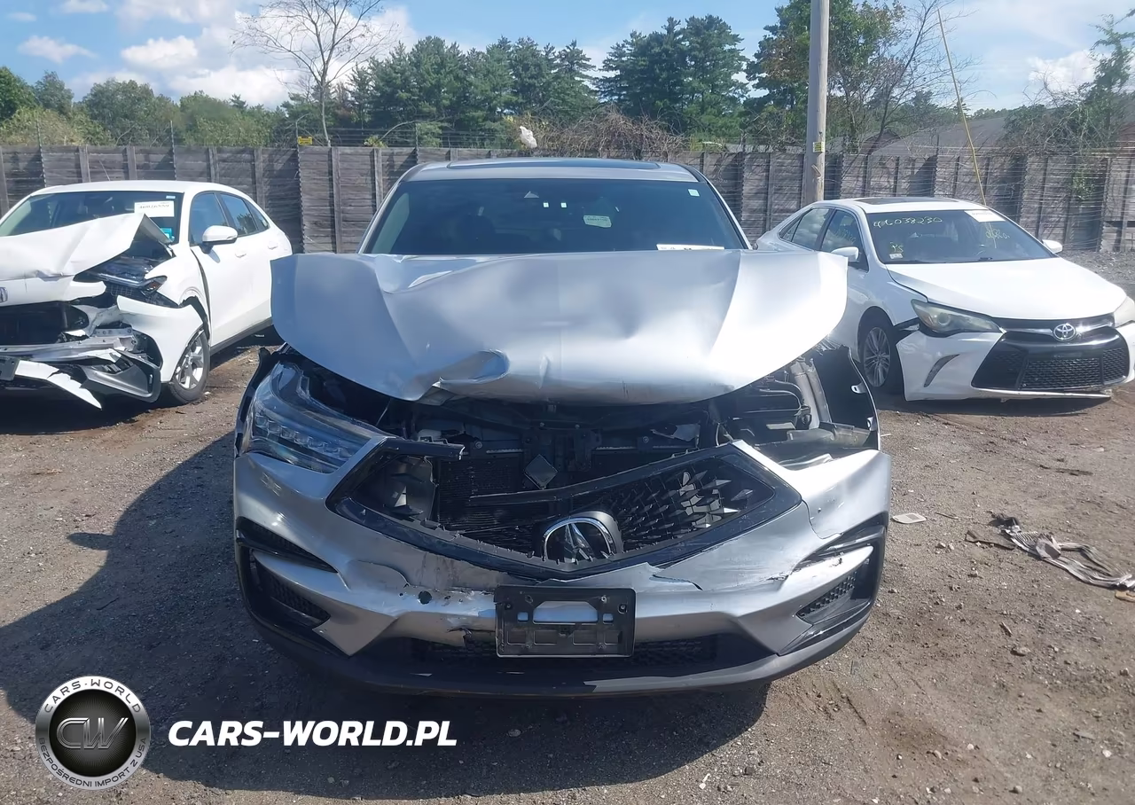 2019 Acura Rdx A-Spec Package VIN:5J8TC2H6XKL016329 - 12