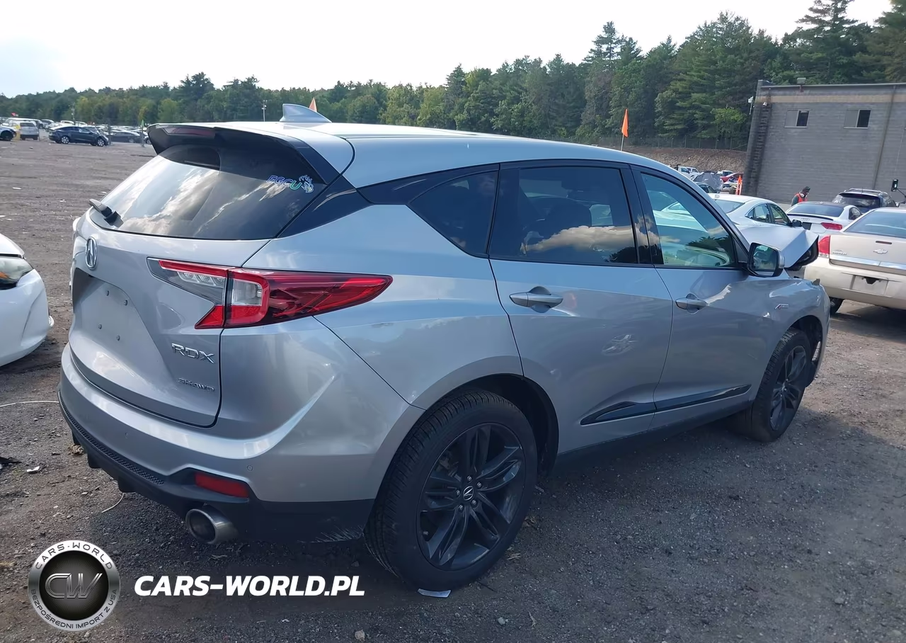 2019 Acura Rdx A-Spec Package VIN:5J8TC2H6XKL016329 - 4