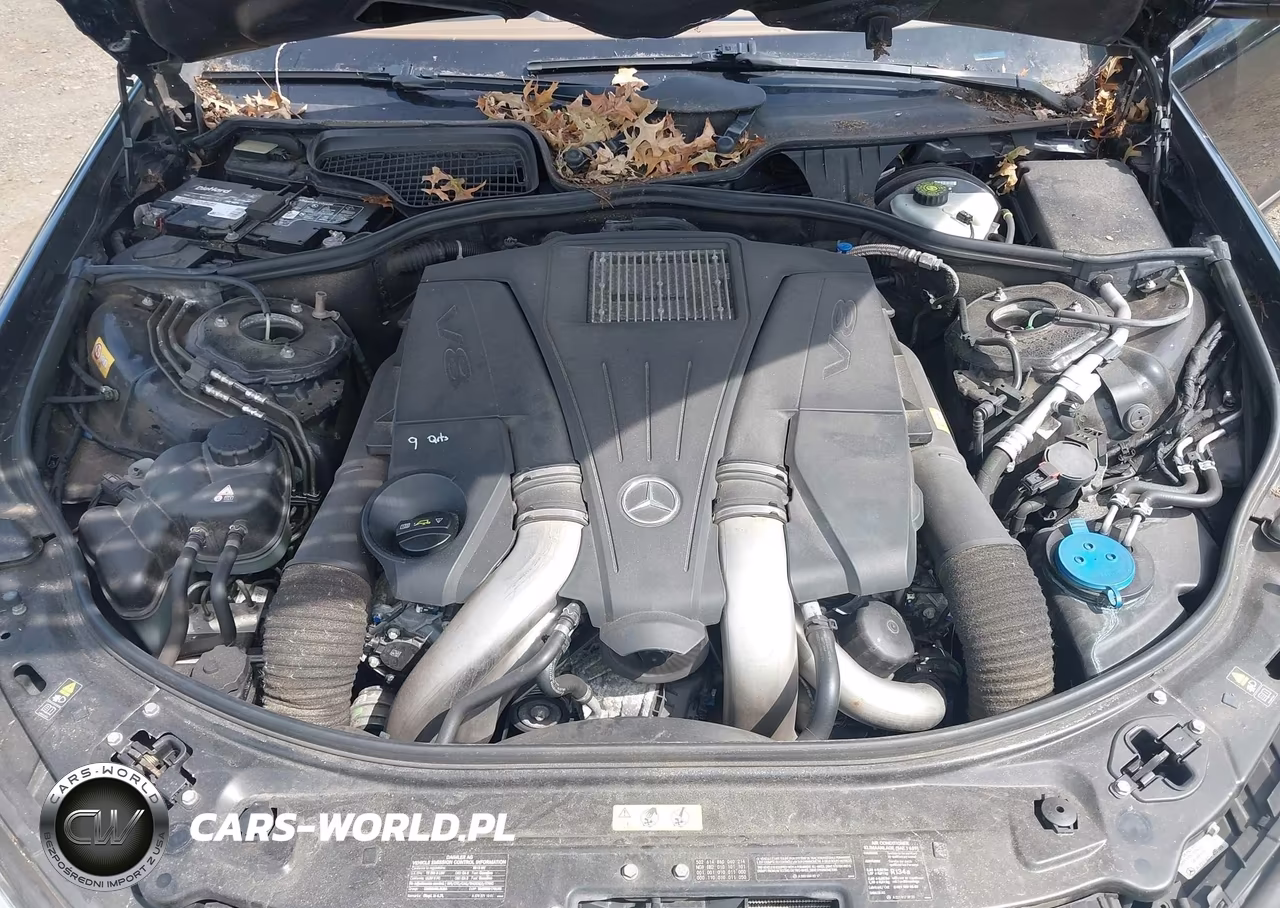 2013 Mercedes-Benz S 550 4Matic VIN:WDDNG9EB2DA526989 - 10