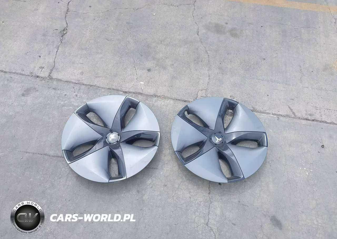 2019 Tesla Model 3 Long Range-Mid Range-Standard Range-Standard Range Plus VIN:5YJ3E1EA5KF307089 - 12
