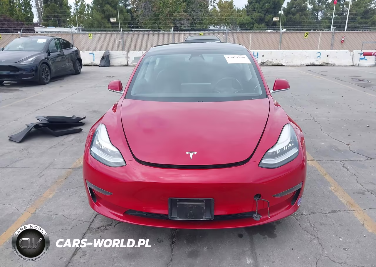 2019 Tesla Model 3 Long Range-Mid Range-Standard Range-Standard Range Plus VIN:5YJ3E1EA5KF307089 - 13