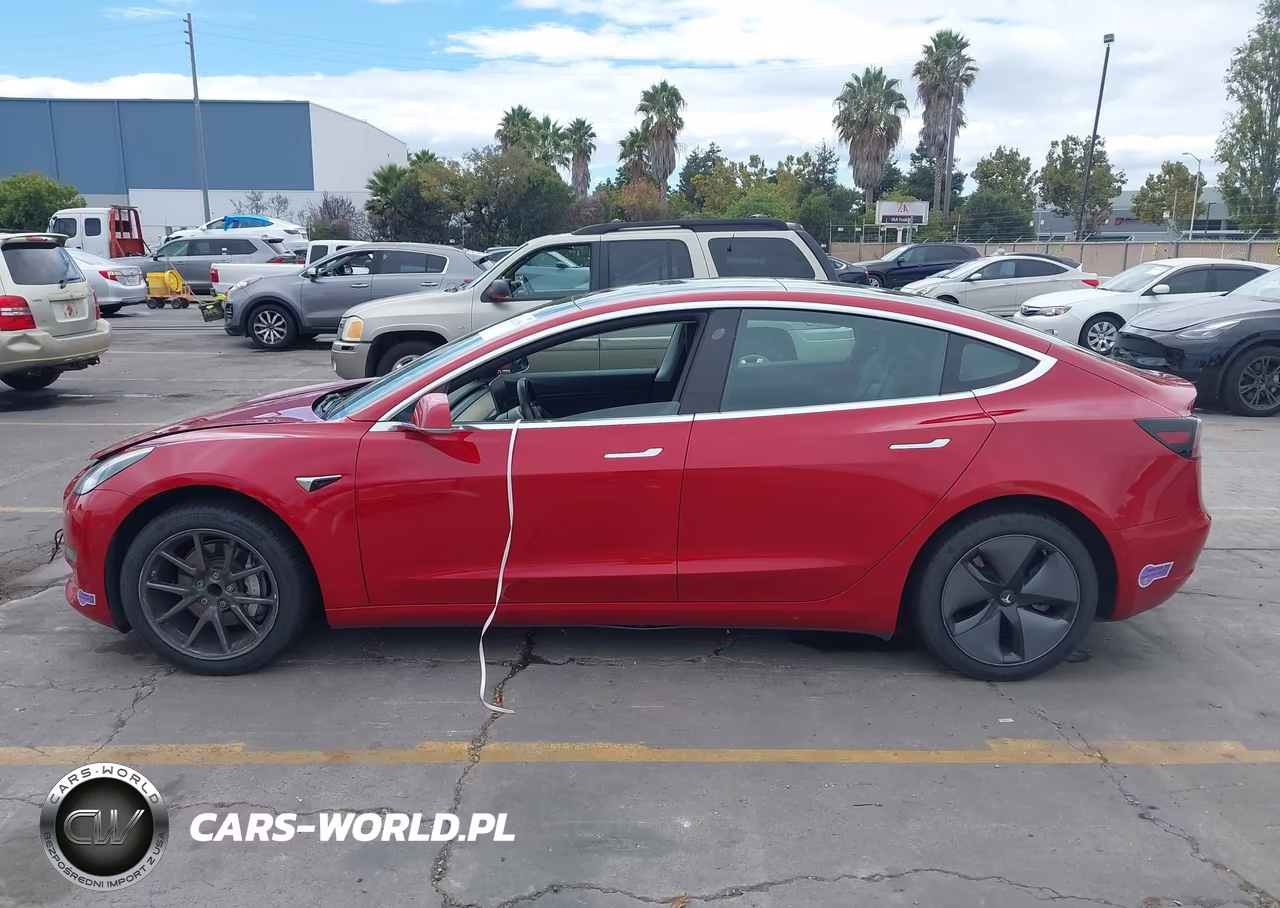 2019 Tesla Model 3 Long Range-Mid Range-Standard Range-Standard Range Plus VIN:5YJ3E1EA5KF307089 - 15