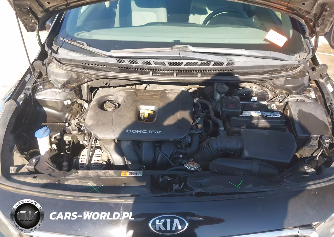 2017 Kia Forte Lx VIN:3KPFK4A78HE092842 - 10