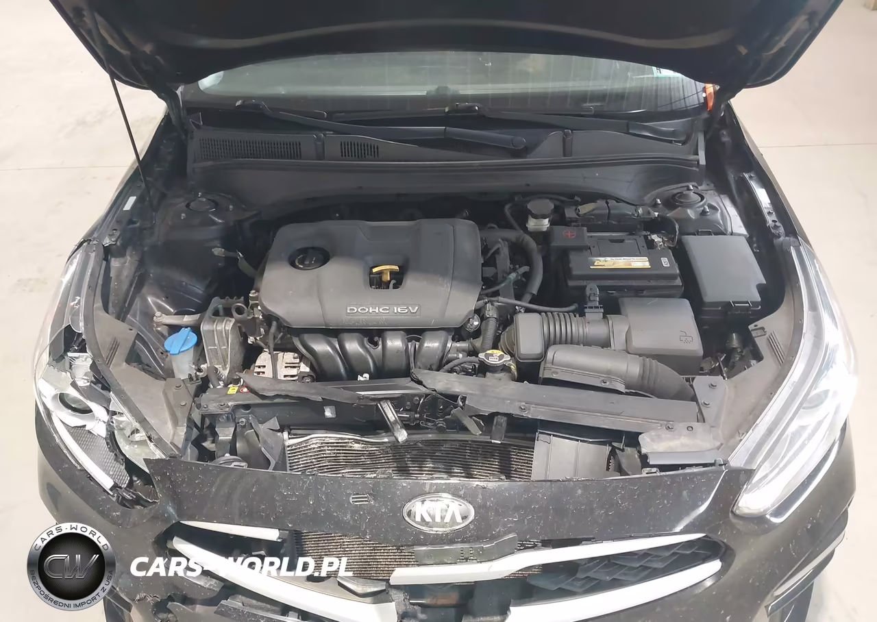 2019 Kia Forte Ex VIN:3KPF54AD0KE048032 - 10