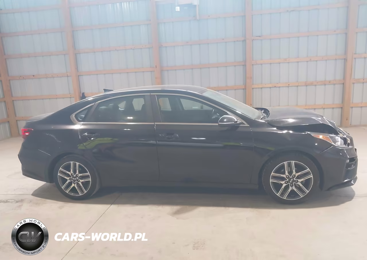 2019 Kia Forte Ex VIN:3KPF54AD0KE048032 - 13