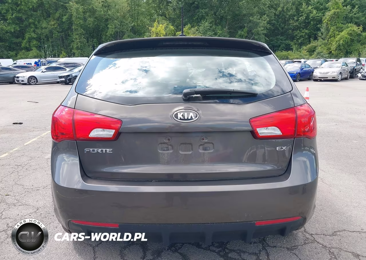 2011 Kia Forte Ex VIN:KNAFU5A25B5348200 - 17