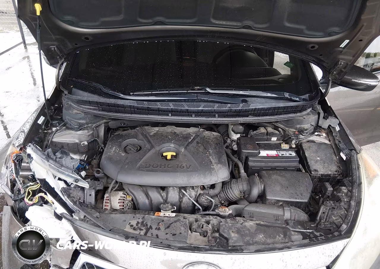 2014 Kia Forte Lx VIN:KNAFX4A60E5223369 - 10