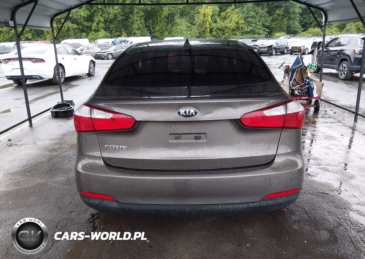 2014 Kia Forte Lx VIN:KNAFX4A60E5223369 - 17