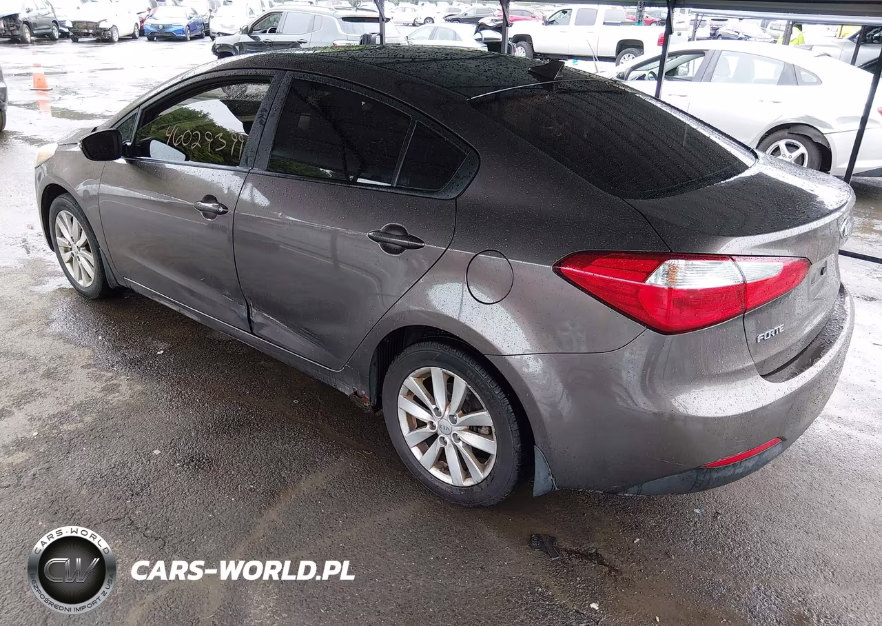 2014 Kia Forte Lx VIN:KNAFX4A60E5223369 - 3