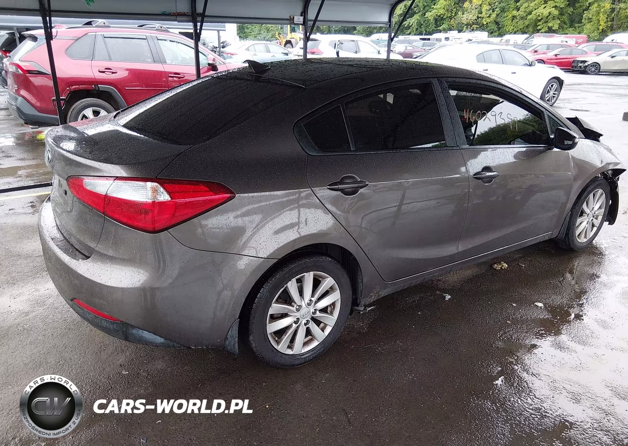 2014 Kia Forte Lx VIN:KNAFX4A60E5223369 - 4
