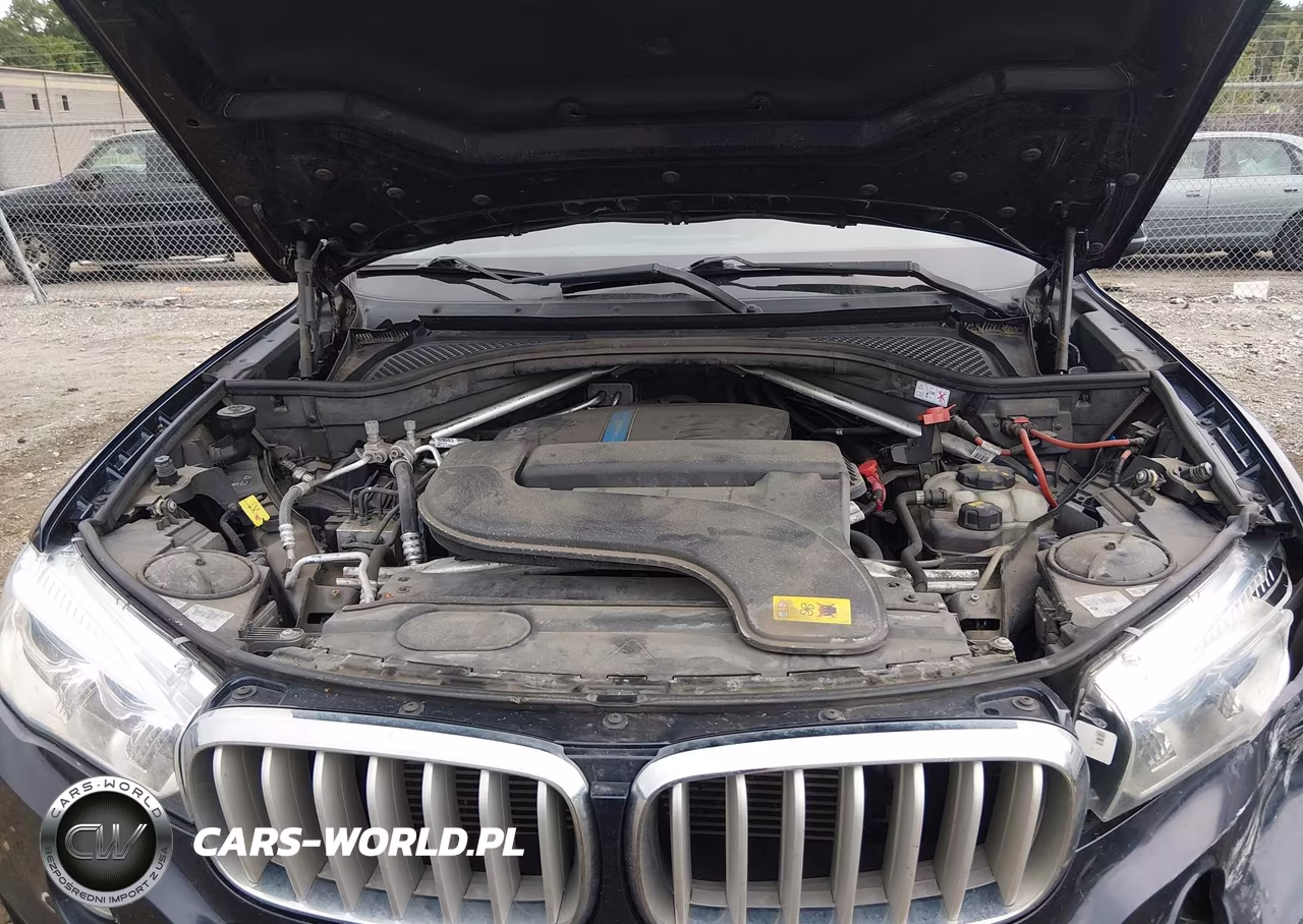 2017 BMW X5 Edrive xDrive40E Iperformance VIN:5UXKT0C31H0V95490 - 10