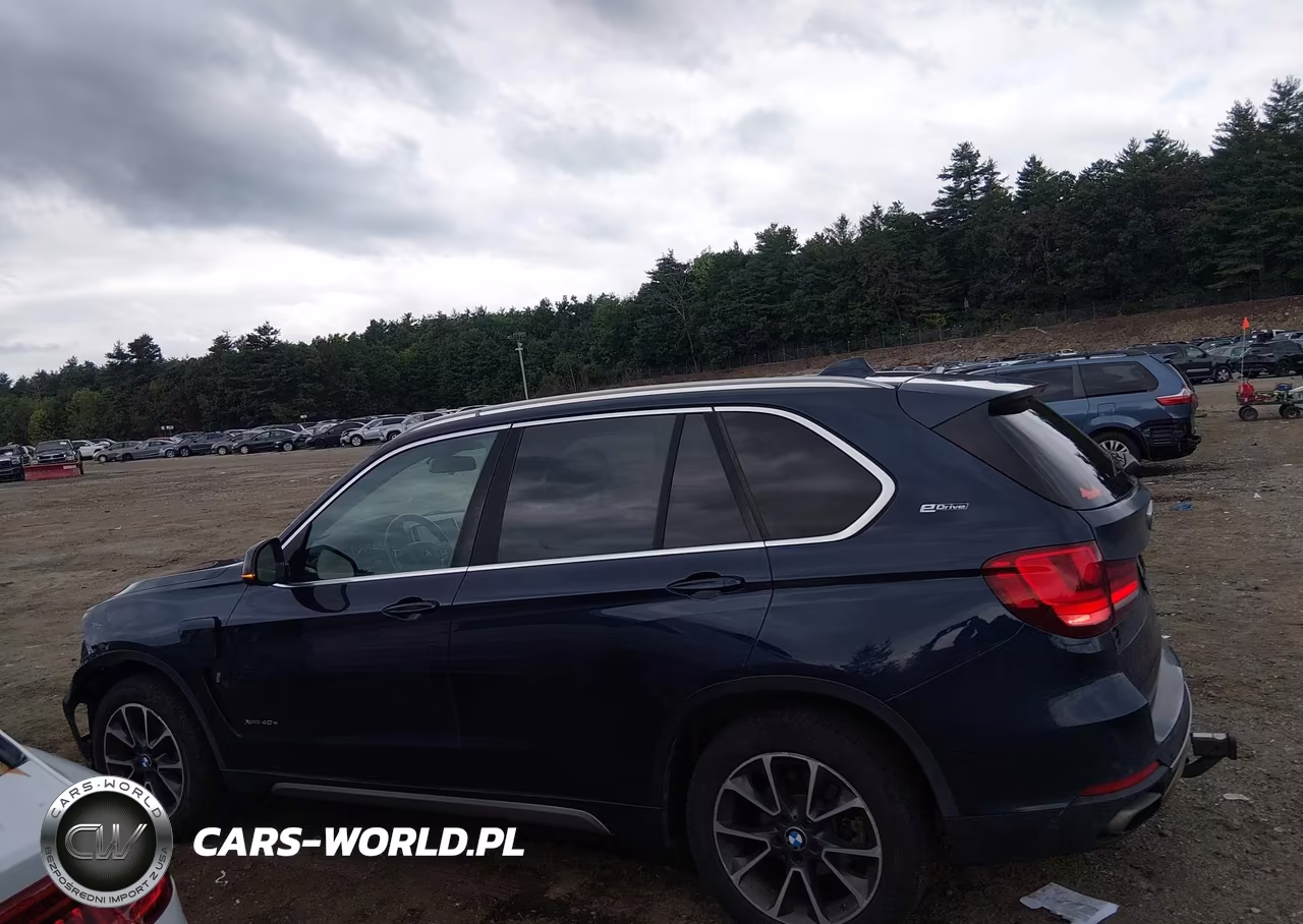 2017 BMW X5 Edrive xDrive40E Iperformance VIN:5UXKT0C31H0V95490 - 15