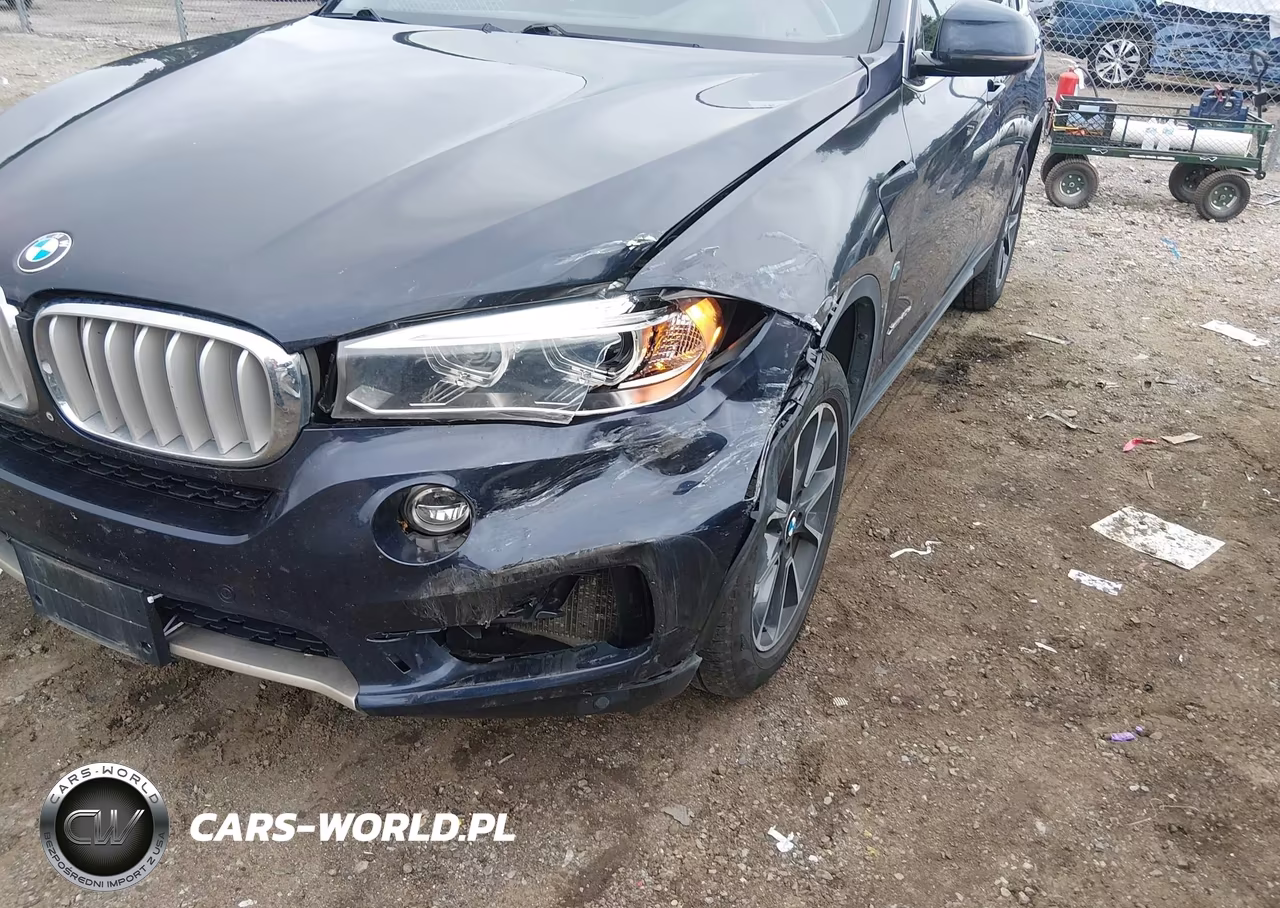 2017 BMW X5 Edrive xDrive40E Iperformance VIN:5UXKT0C31H0V95490 - 6