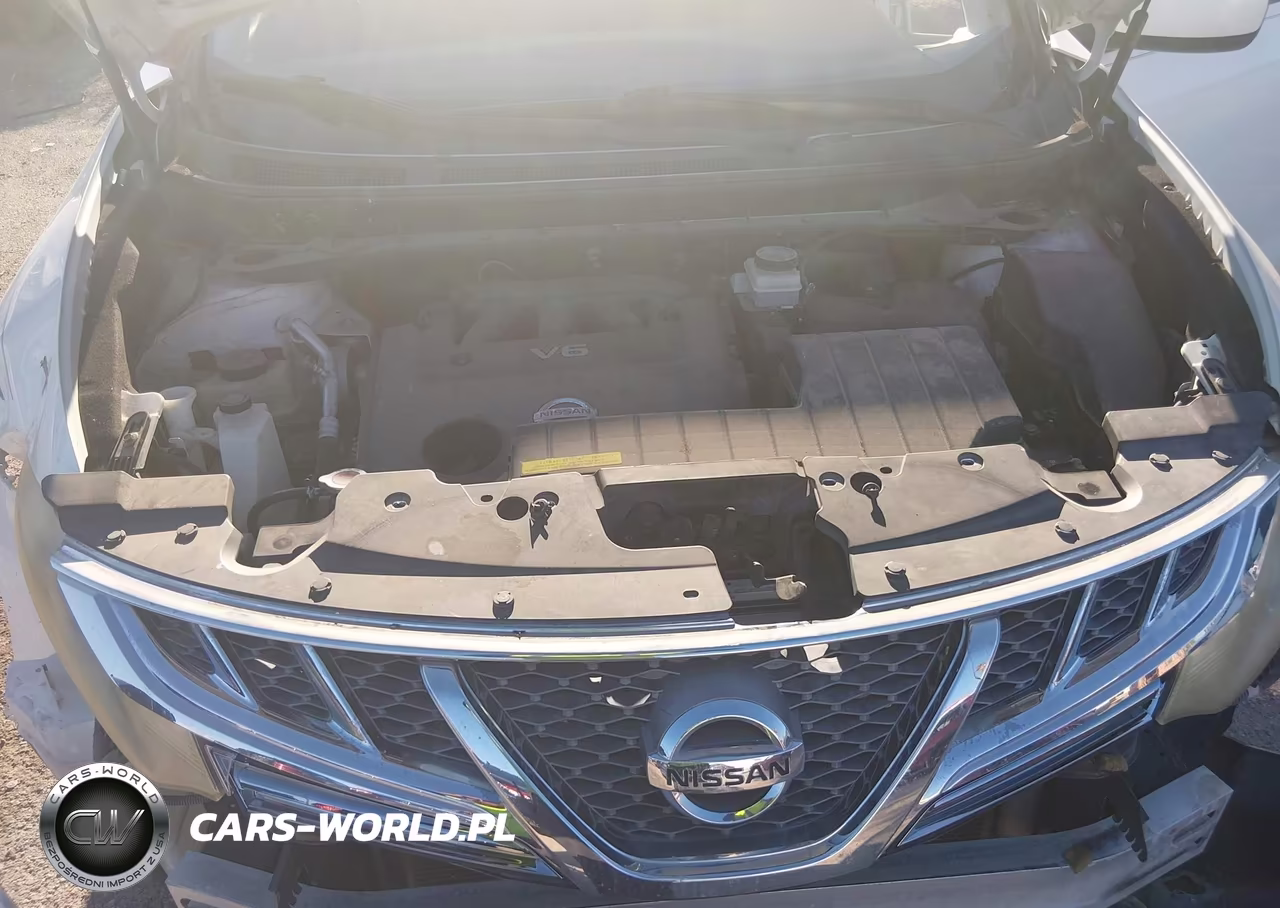 2013 Nissan Murano Sv VIN:JN8AZ1MW8DW310905 - 10