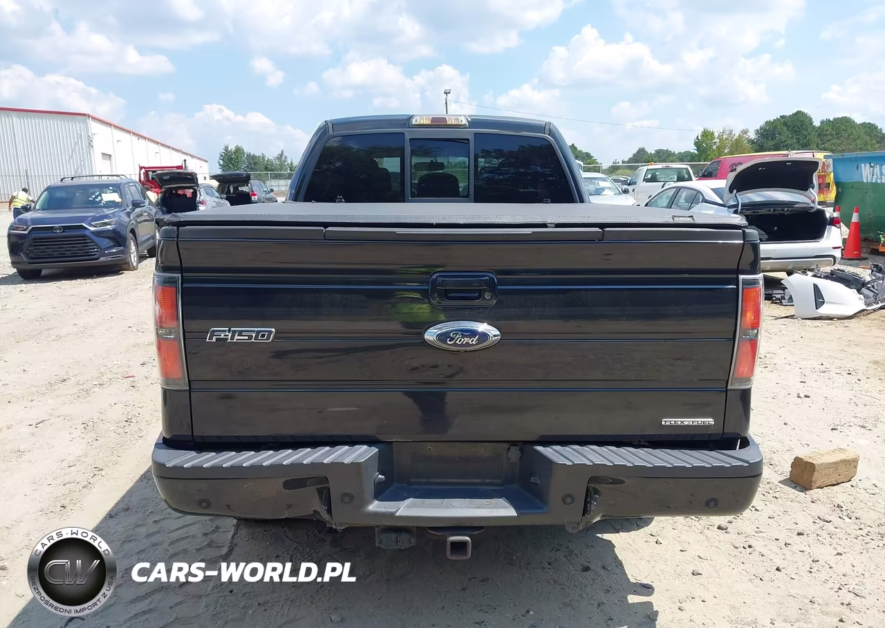 2012 Ford F-150 Fx2 VIN:1FTFX1CF0CFC87479 - 16