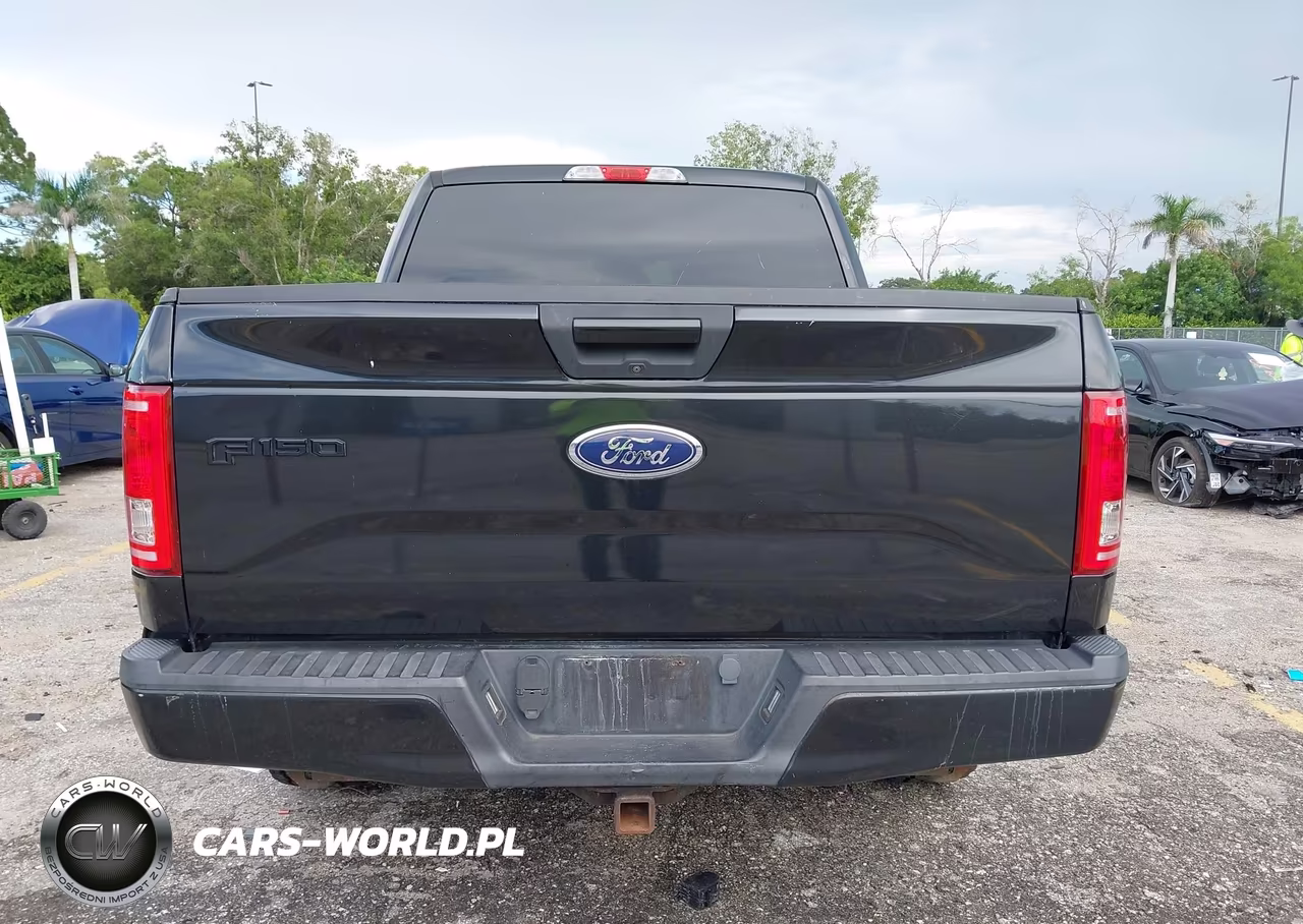 2015 Ford F-150 Xlt VIN:1FTEW1CP4FKE98428 - 17