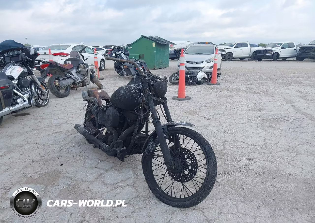 1999 Harley-Davidson Fxst Custom