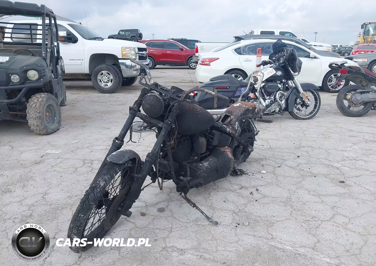 1999 Harley-Davidson Fxst Custom VIN:1HD1BKL18XY050895 - 2