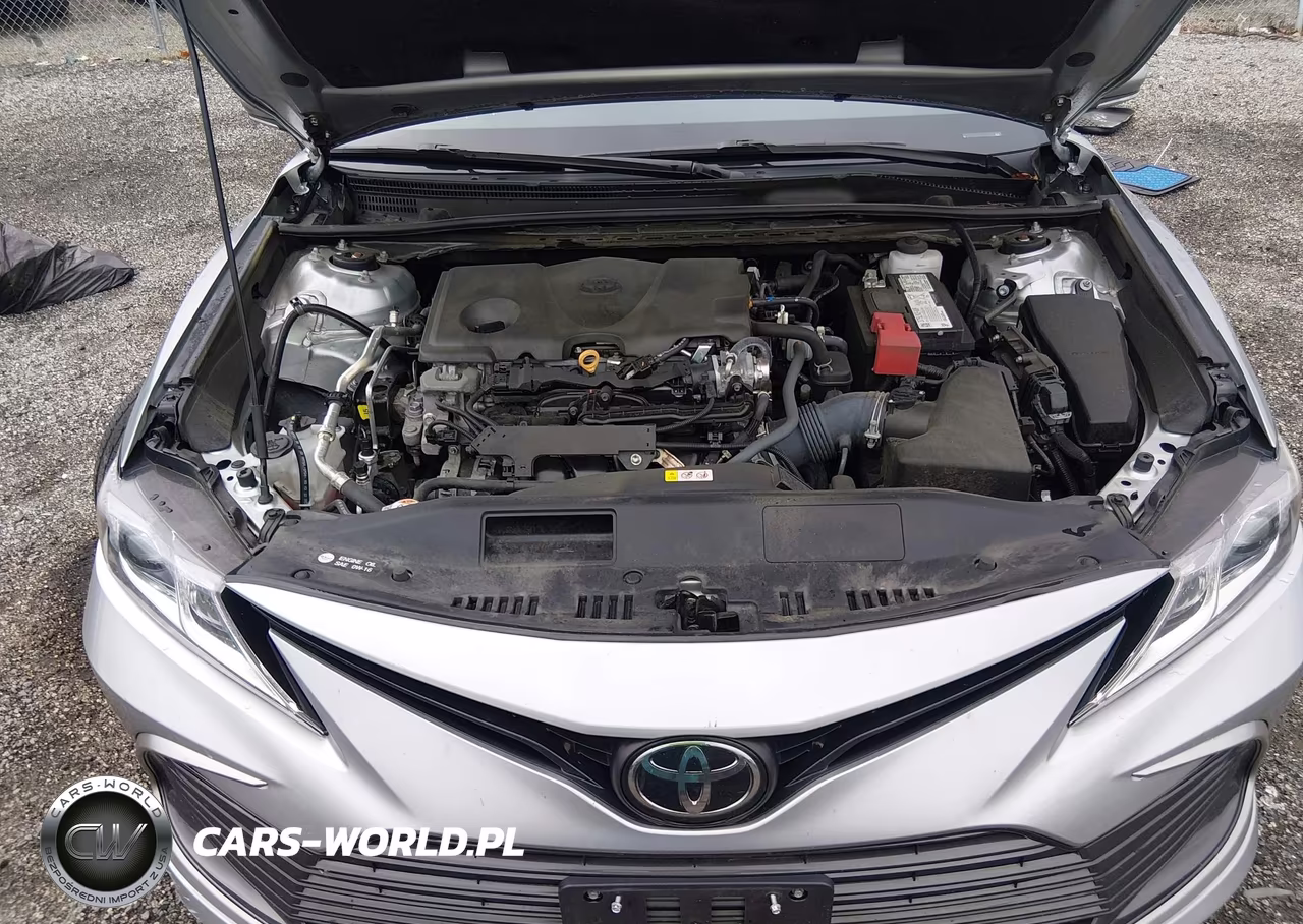 2023 Toyota Camry Le VIN:4T1C11AK1PU832266 - 10