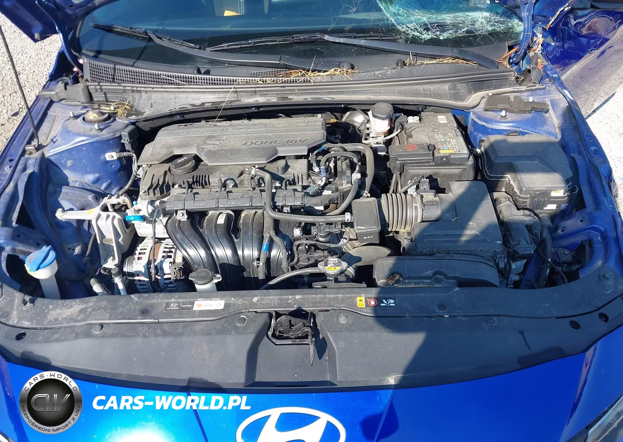 2025 Hyundai Elantra Sel Sport VIN:KMHLM4DG5SU865926 - 10