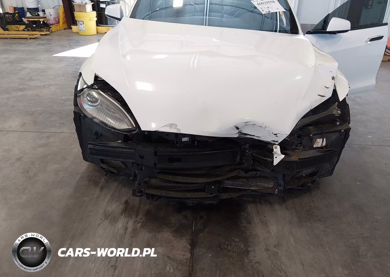 2015 Tesla Model S 85D-P85D VIN:5YJSA1E48FF117259 - 6