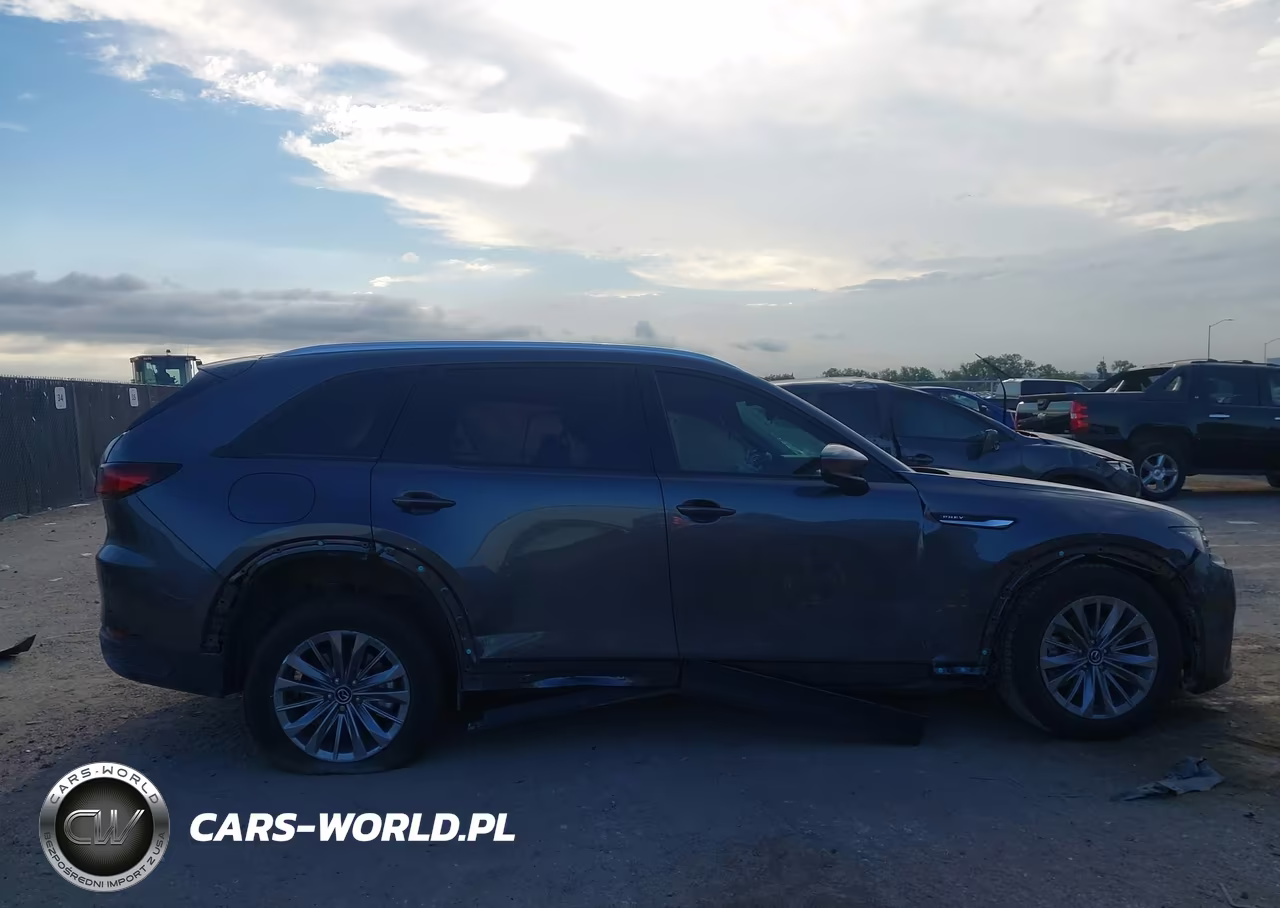 2024 Mazda Cx-90 Phev Preferred VIN:JM3KKBHA1R1165209 - 12