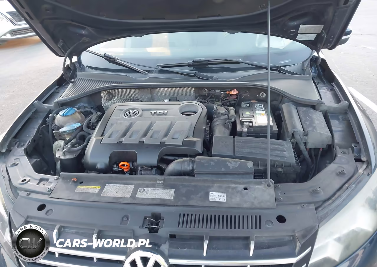 2013 Volkswagen Passat 2.0L Tdi Sel Premium VIN:1VWCN7A31DC026737 - 10