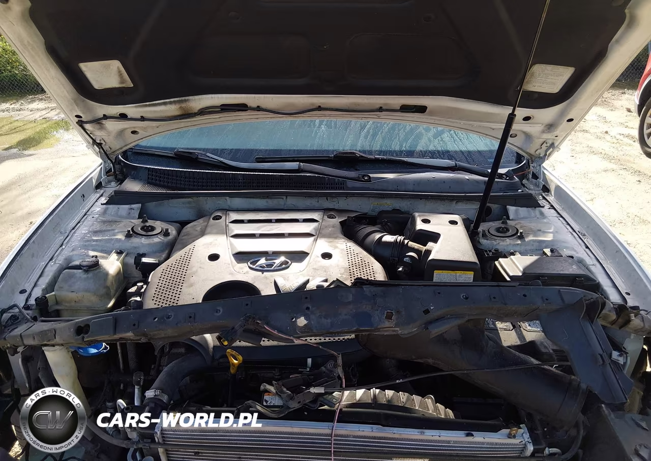 2007 Hyundai Sonata Limited-Se V6 VIN:5NPEU46F87H281166 - 10