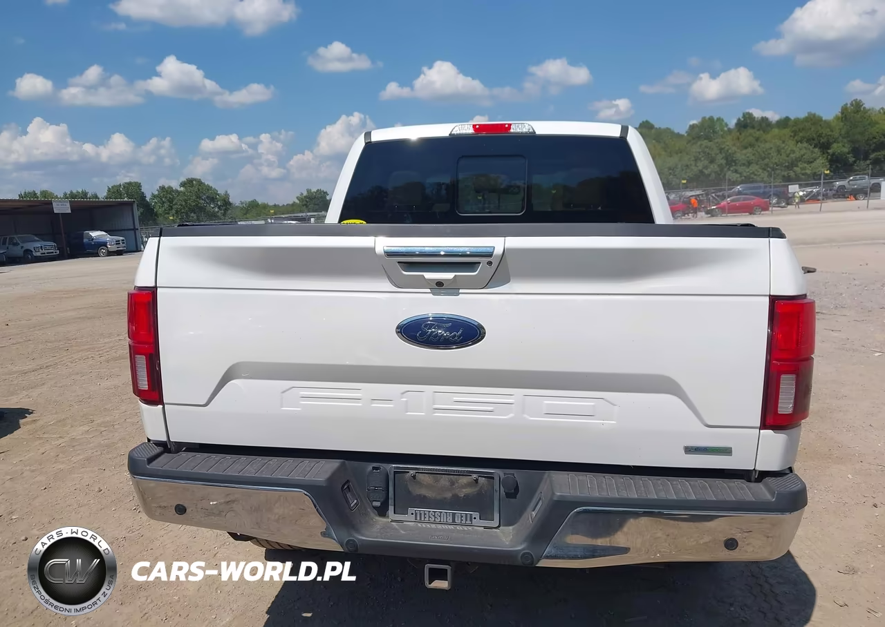 2020 Ford F-150 Lariat VIN:1FTEW1E45LKF44136 - 16