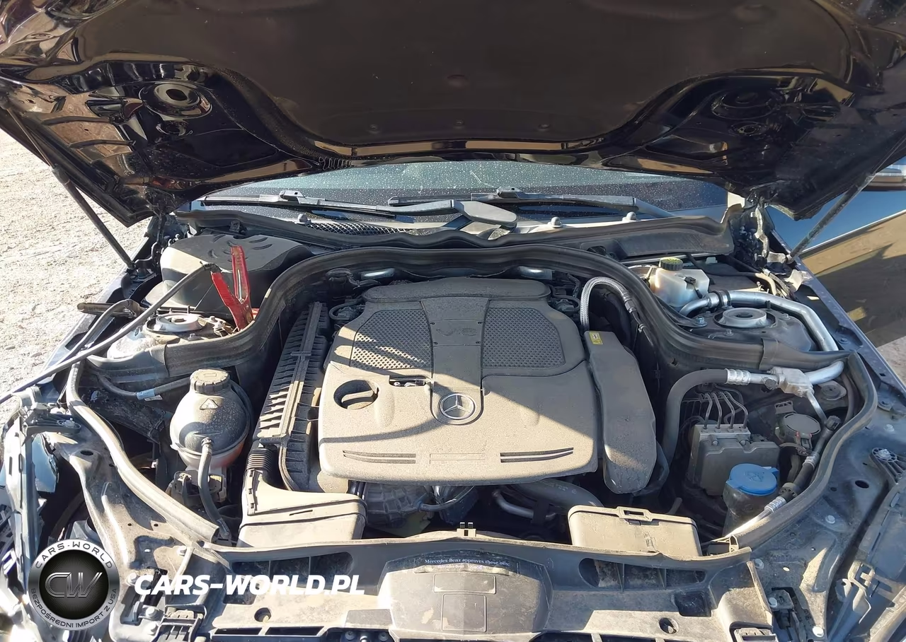 2016 Mercedes-Benz E 350 VIN:WDDHF5KB4GB211445 - 10