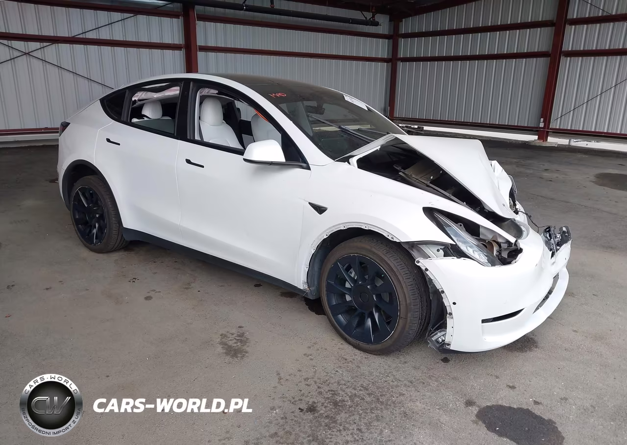 2022 Tesla Model Y Long Range Dual Motor All-Wheel Drive VIN:7SAYGDEE0NF487643 - 1