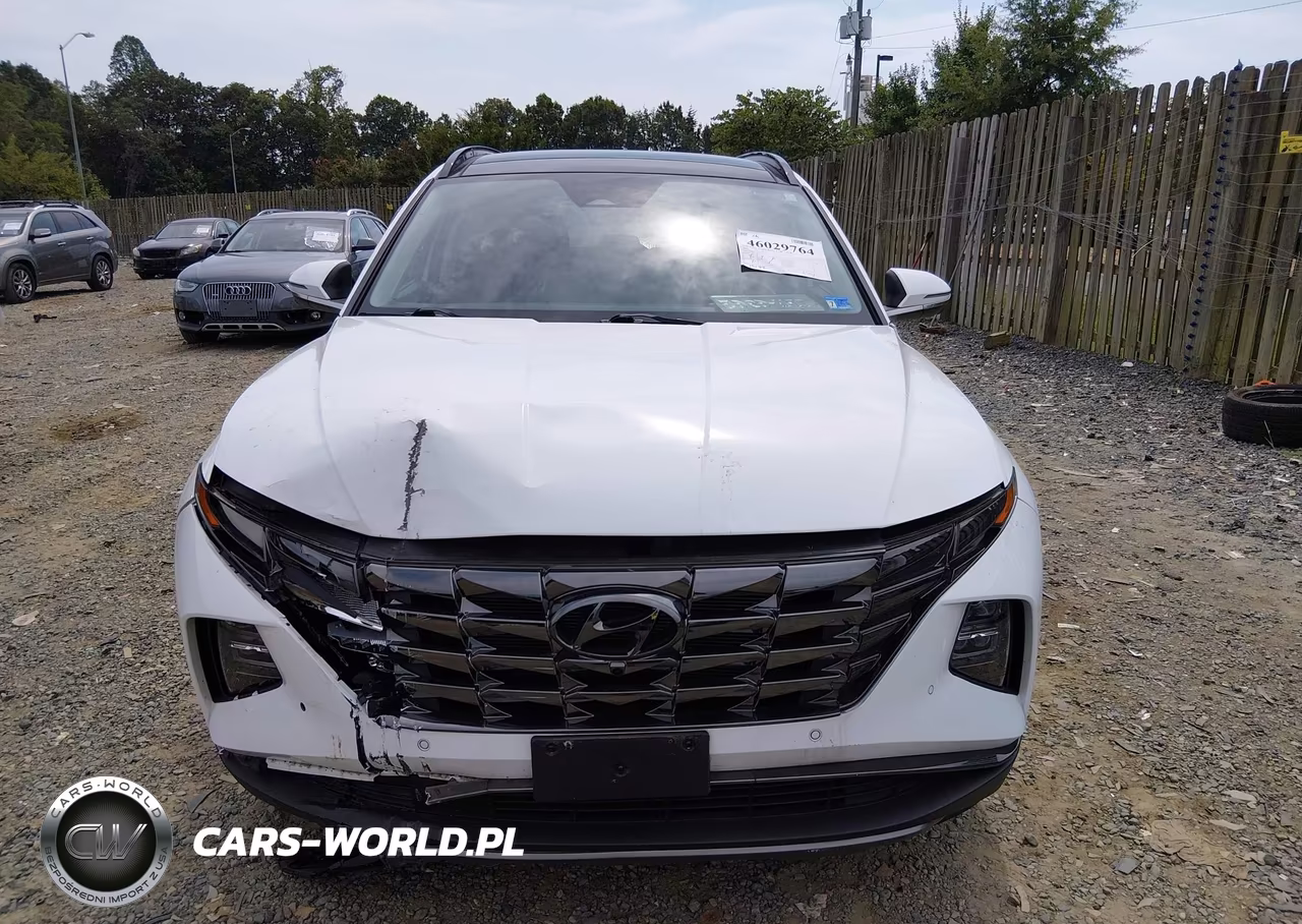 2023 Hyundai Tucson Limited VIN:5NMJE3AEXPH257128 - 12