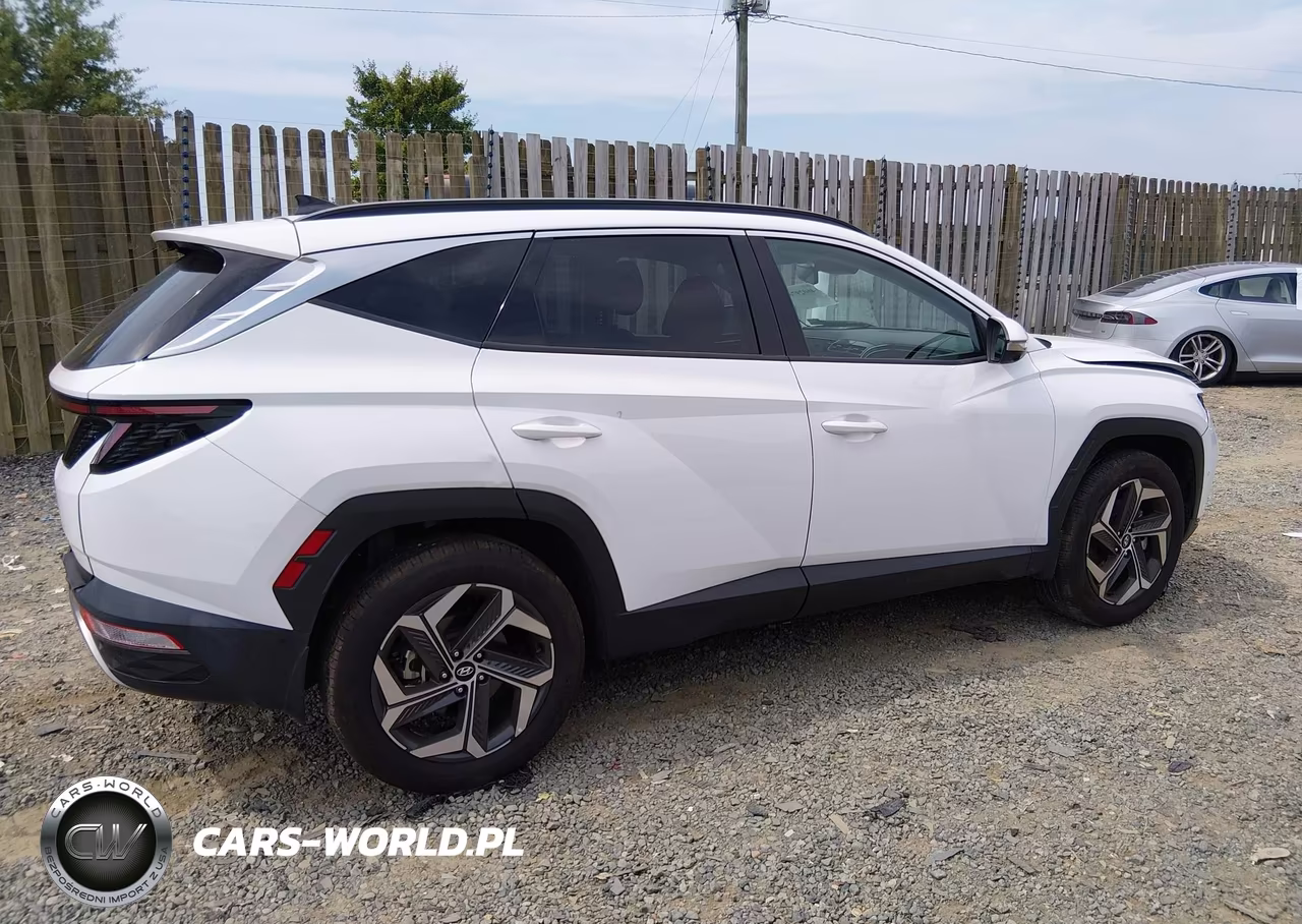 2023 Hyundai Tucson Limited VIN:5NMJE3AEXPH257128 - 13