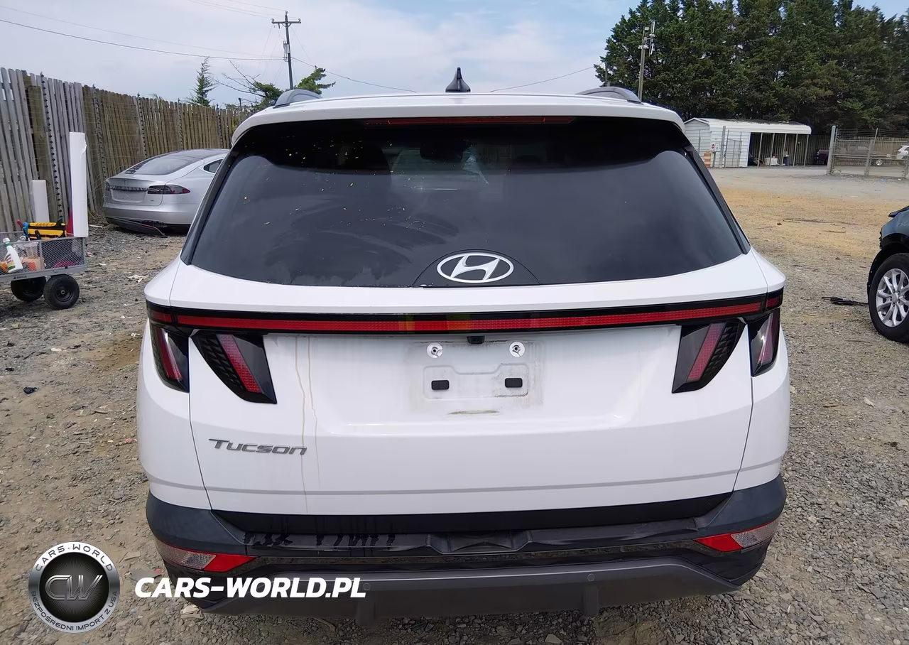 2023 Hyundai Tucson Limited VIN:5NMJE3AEXPH257128 - 16
