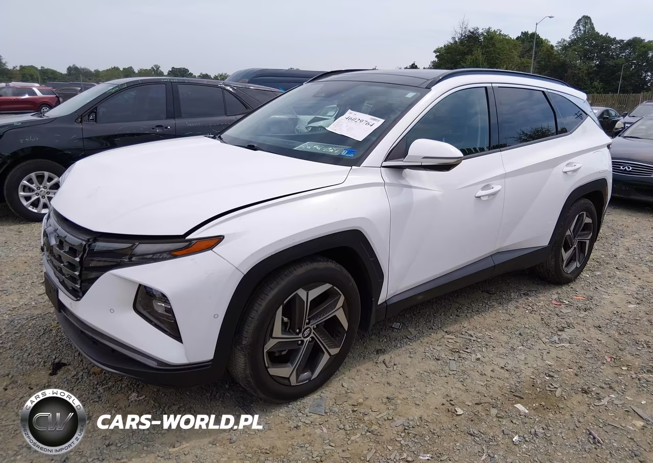 2023 Hyundai Tucson Limited VIN:5NMJE3AEXPH257128 - 2