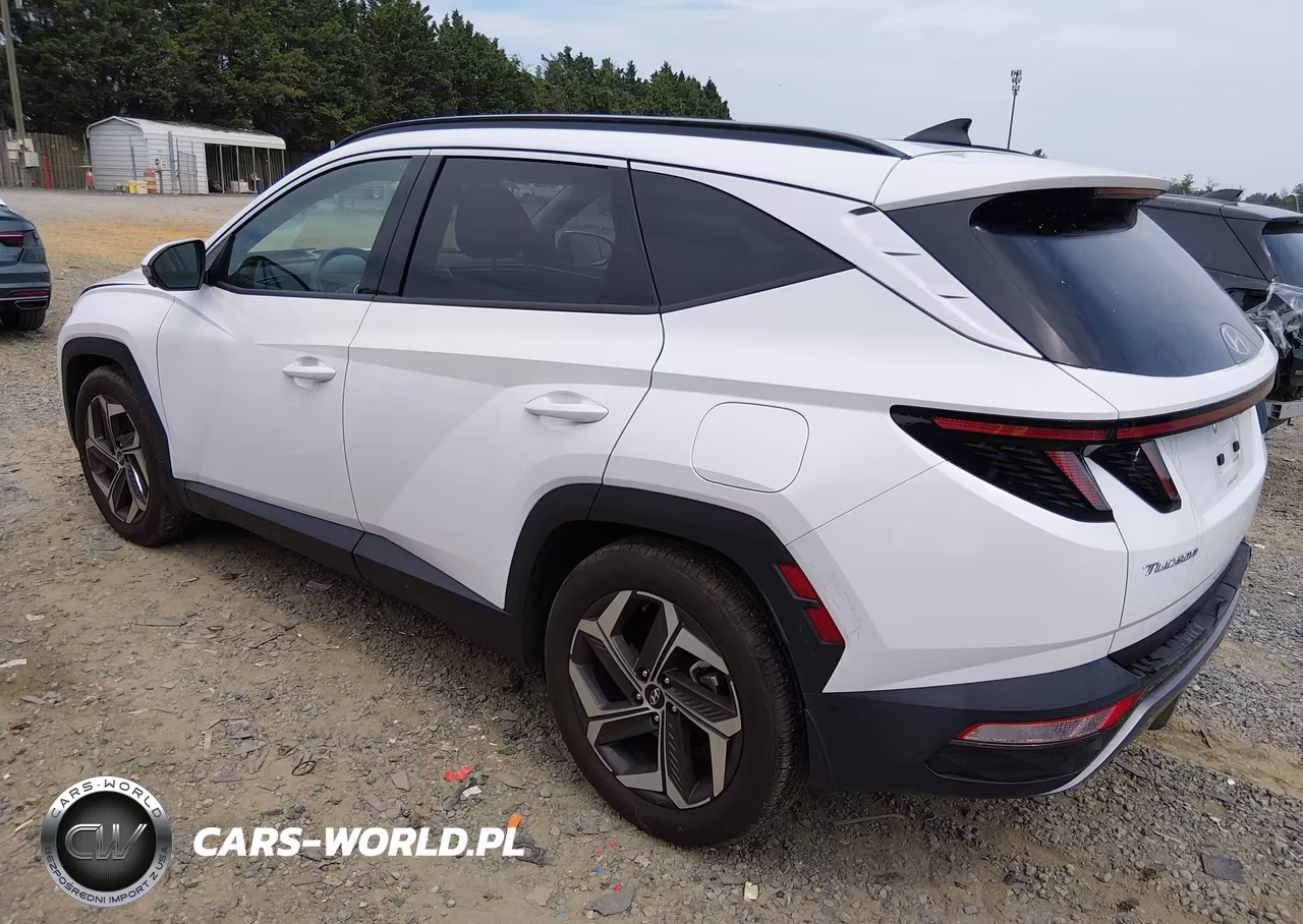 2023 Hyundai Tucson Limited VIN:5NMJE3AEXPH257128 - 3