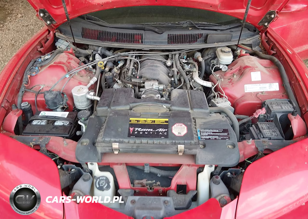 2001 Pontiac Firebird Trans Am VIN:2G2FV22G612125011 - 10