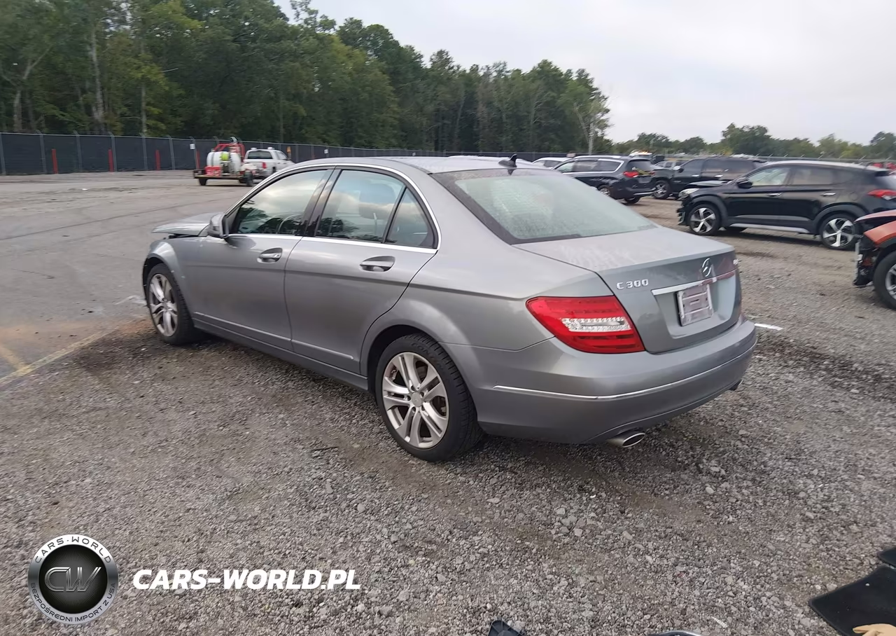 2014 Mercedes-Benz C 300 Luxury 4Matic VIN:WDDGF8AB3EA943261 - 3