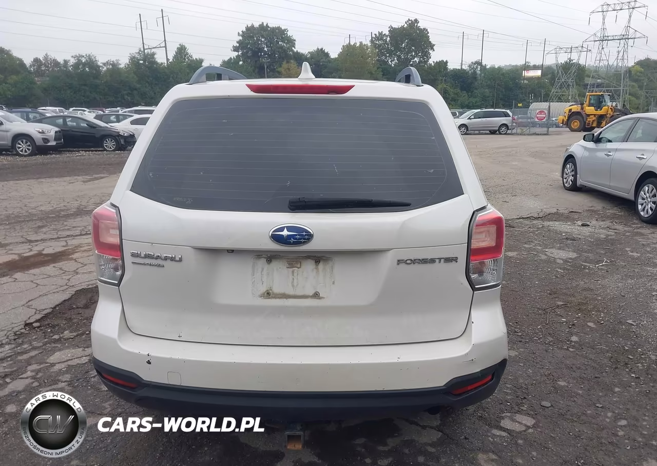 2018 Subaru Forester 2.5I VIN:JF2SJABC5JH477918 - 16