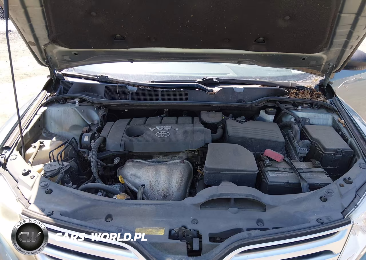 2009 Toyota Venza VIN:4T3BE11A19U001108 - 10