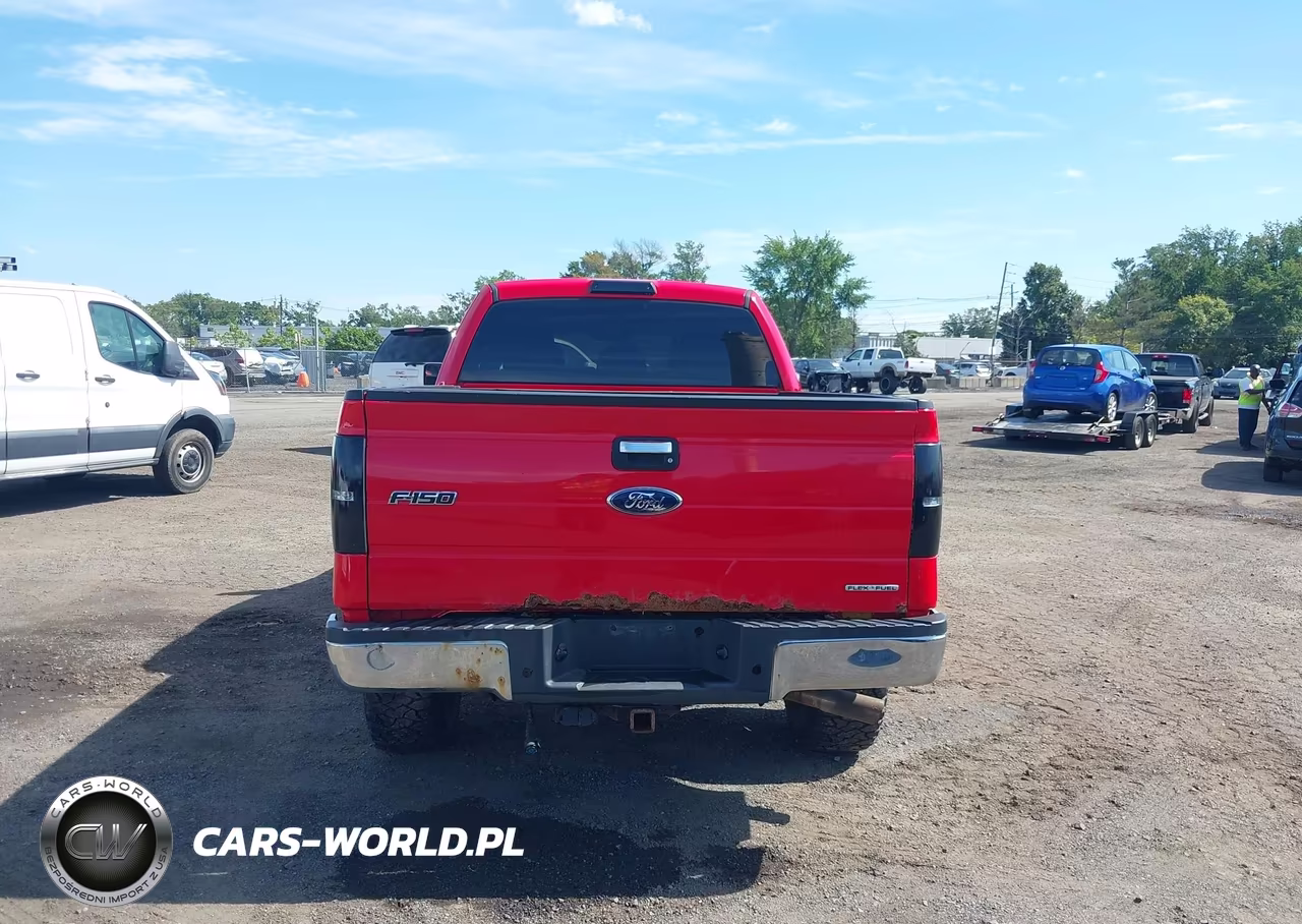 2011 Ford F-150 Xlt VIN:1FTFX1EF4BKD07249 - 16
