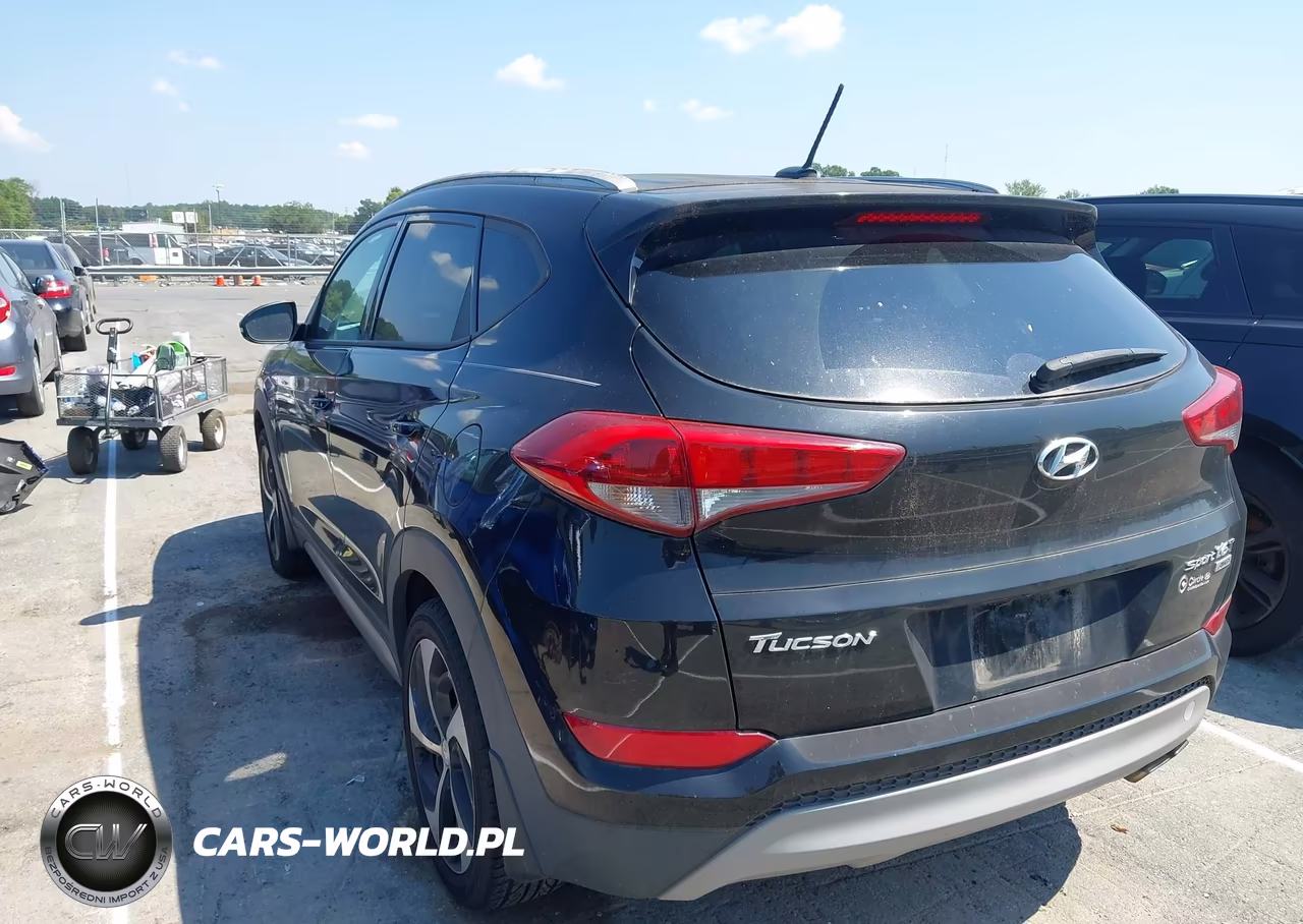 2017 Hyundai Tucson Sport VIN:KM8J3CA21HU301874 - 3