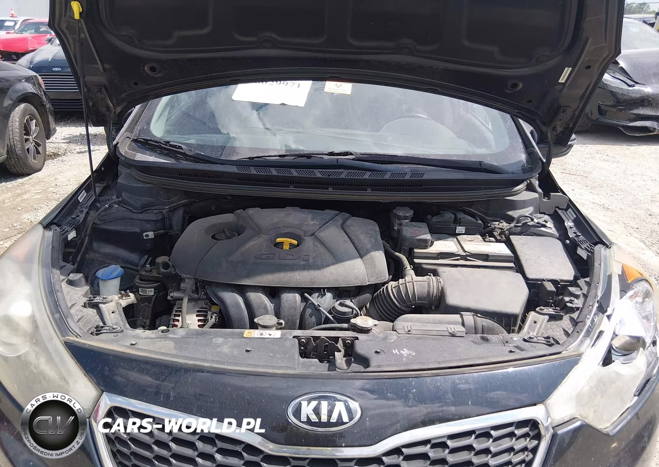 2015 Kia Forte Ex VIN:KNAFX4A82F5369310 - 10