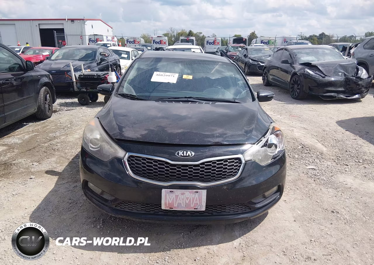 2015 Kia Forte Ex VIN:KNAFX4A82F5369310 - 11
