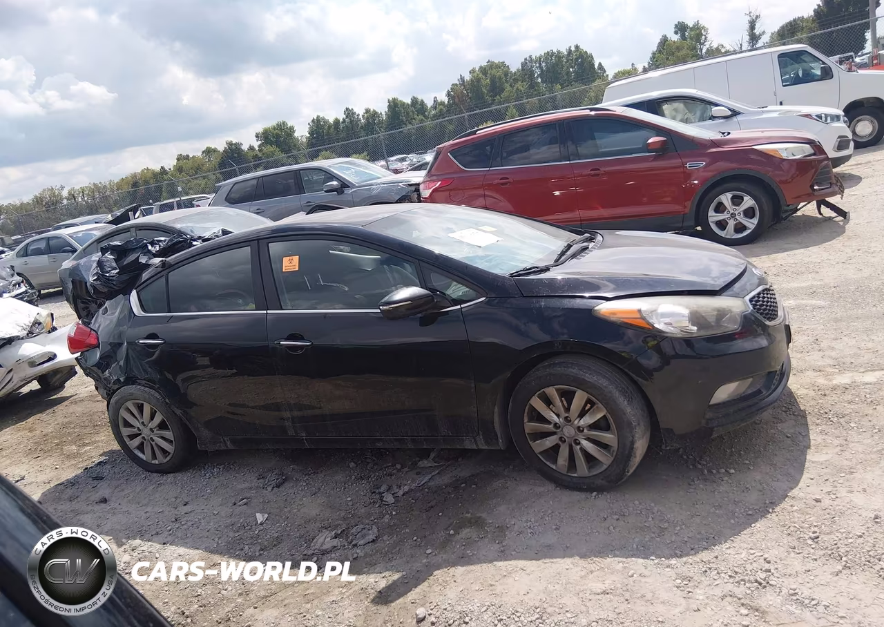 2015 Kia Forte Ex VIN:KNAFX4A82F5369310 - 12