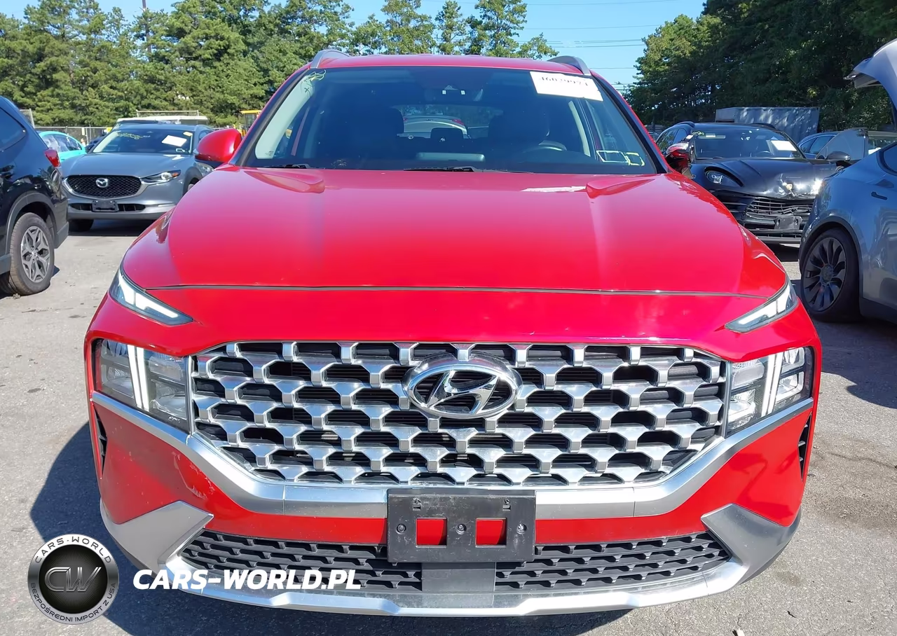 2021 Hyundai Santa Fe Sel VIN:5NMS6DAJ3MH360455 - 13