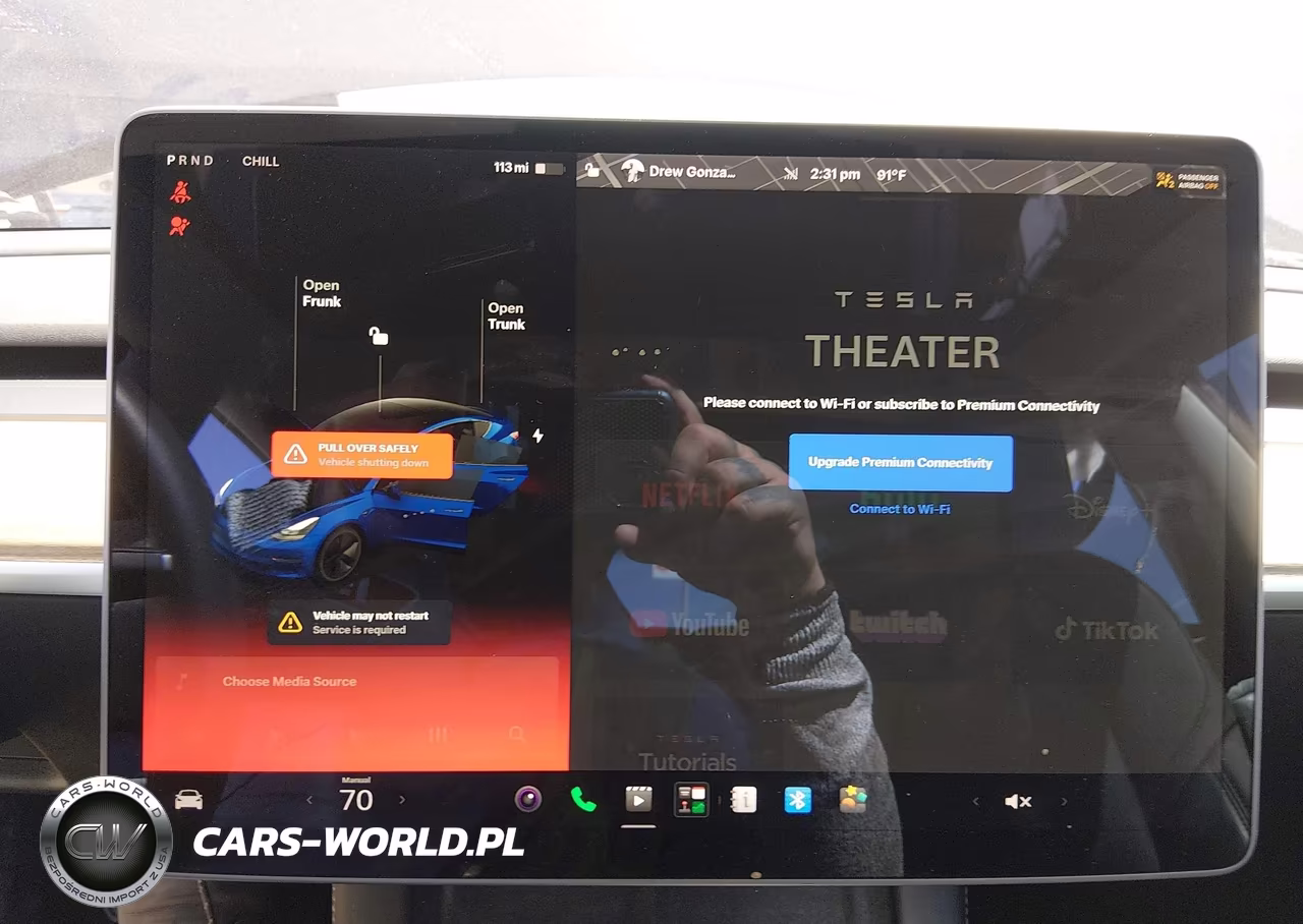 2021 Tesla Model 3 Long Range Dual Motor All-Wheel Drive VIN:5YJ3E1EB5MF079459 - 19
