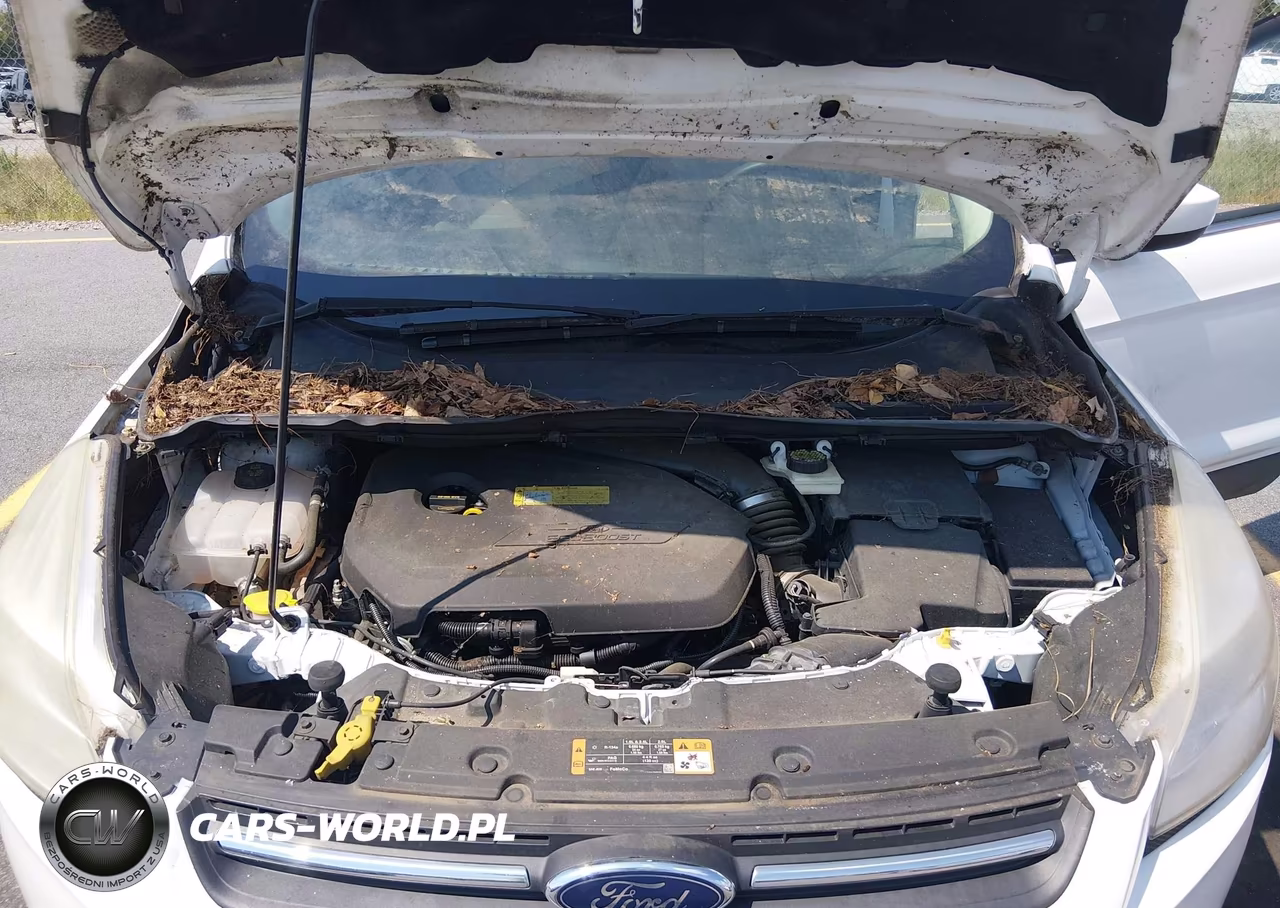 2014 Ford Escape Se VIN:1FMCU0GX6EUD02599 - 10