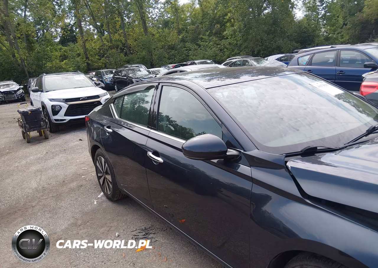 2019 Nissan Altima 2.5 Sv VIN:1N4BL4DV3KC110058 - 13